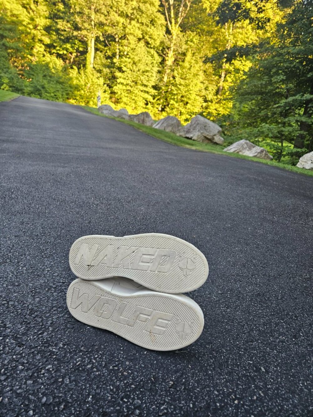 Naked Wolfe sneakers - Picture 2 of 2